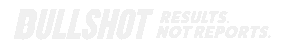 logotipo bullshot 10